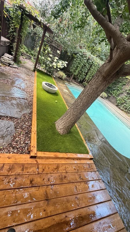 Bande de gazon synthétique avec bordure de bois sous un arbre